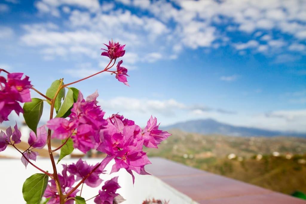 Willa Rooftop Terrace & Panoramic Mountain View'S Cutar Zewnętrze zdjęcie